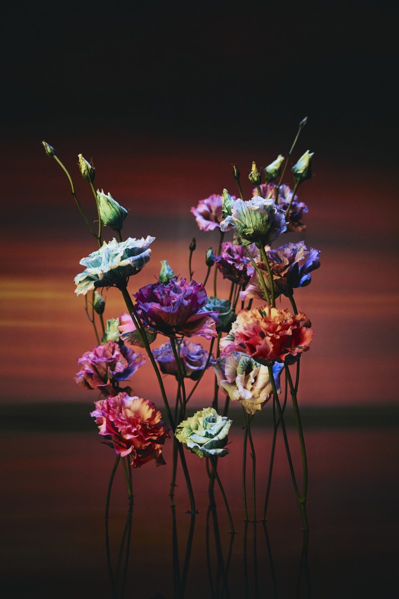 sicky-magazine-thyrse-jeremy-josselin domitille basso floral artist