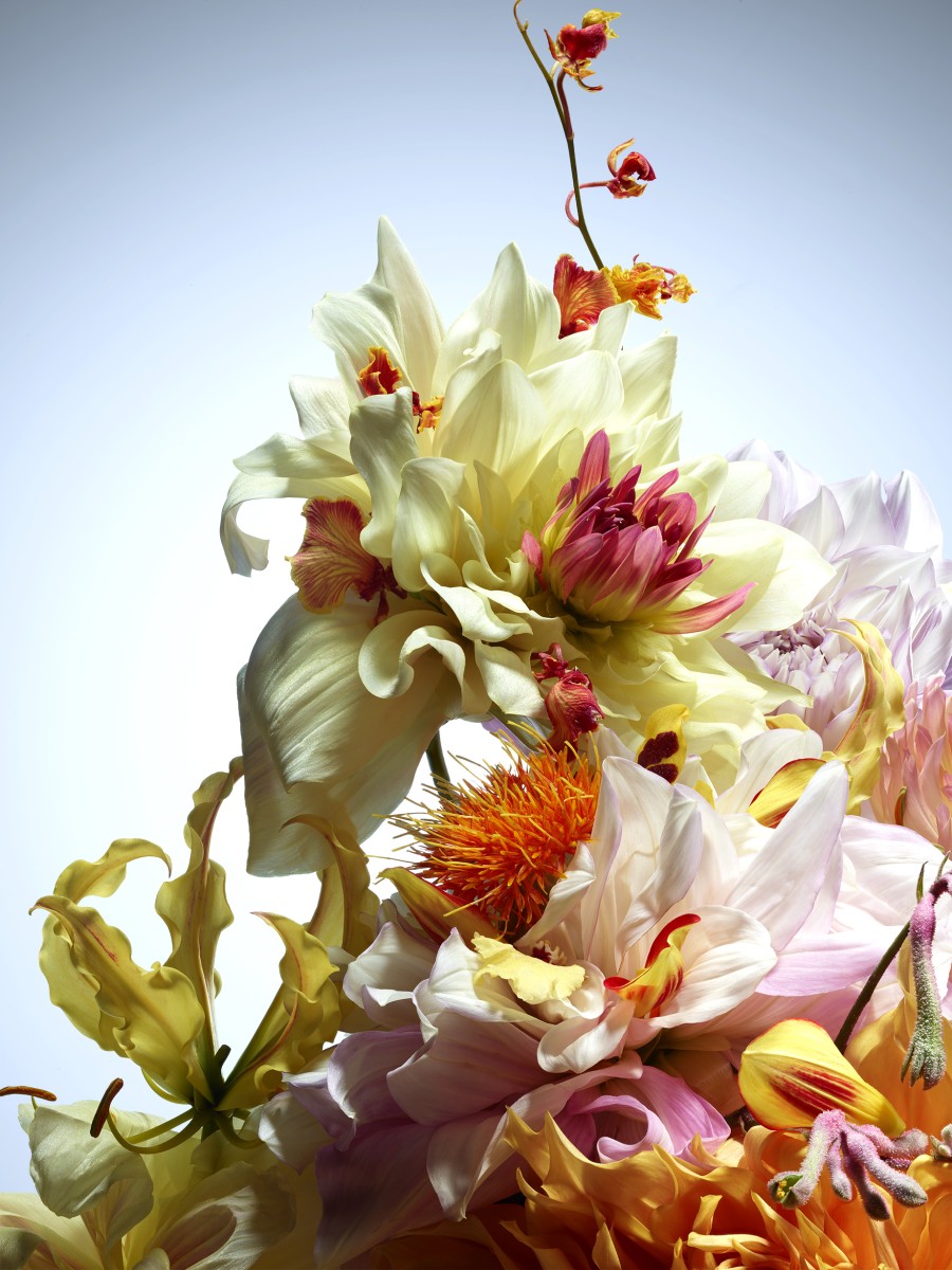 FLORAL COMPOSITION THYRSE DOMITILLE BASSO SET DESIGN FLORAL