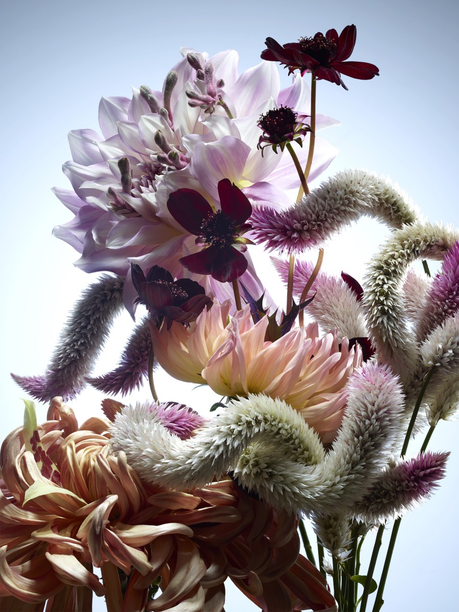 FLORAL COMPOSITION THYRSE DOMITILLE BASSO SET DESIGN FLORAL DRAMATIQUE